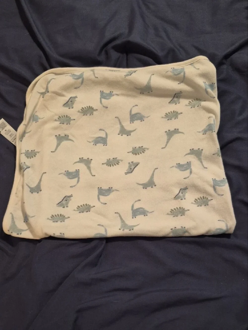 Soft White Baby Blanket with Light Blue Dinosaur Print